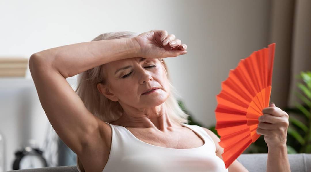 medicamentos para menopausa
